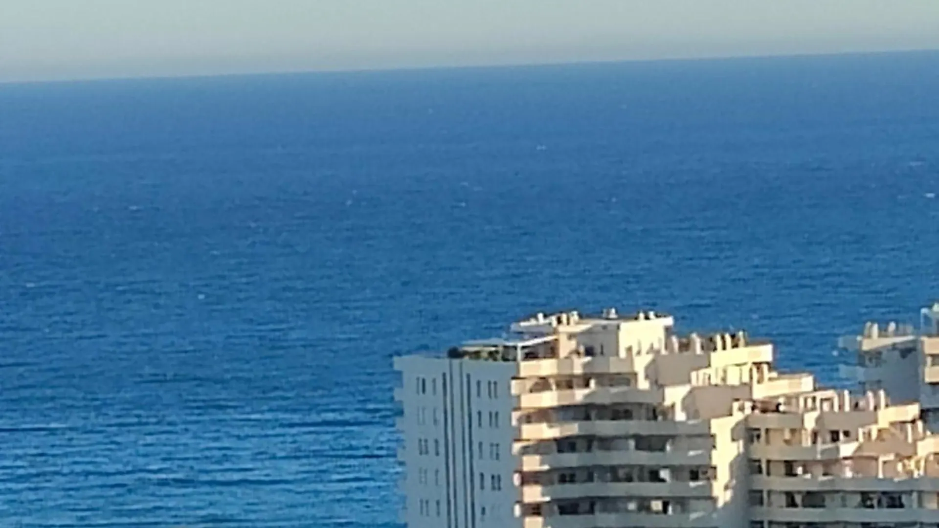 Jupiter Apartments Sea View contacts